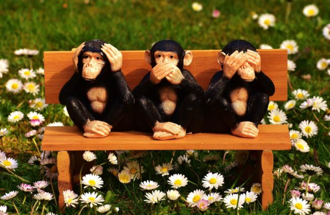 three wise monkey sitting on bench, not hear, not see, do not speak